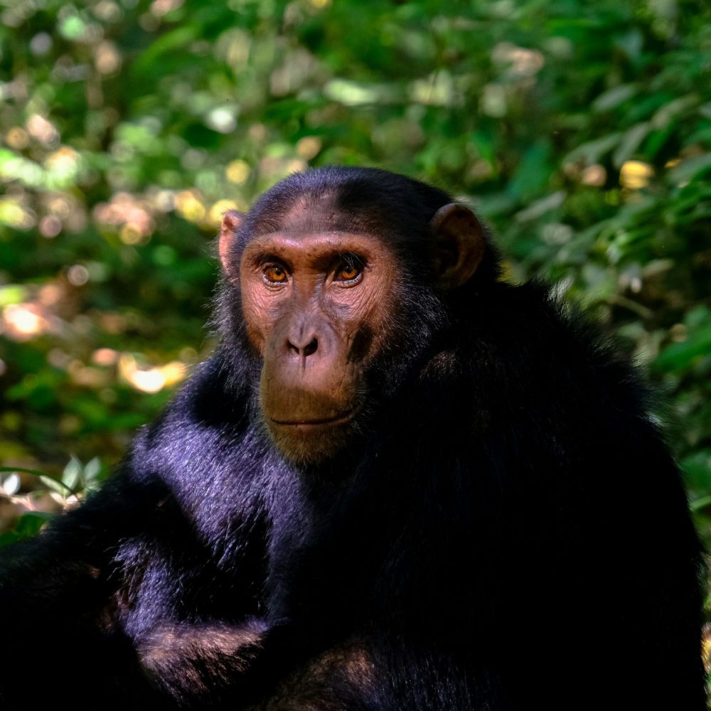 francesco-ungaro-N8x-Z4JIqKk-unsplash-scaled.jpg